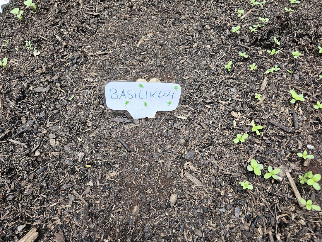 Hochbeet im Garten
